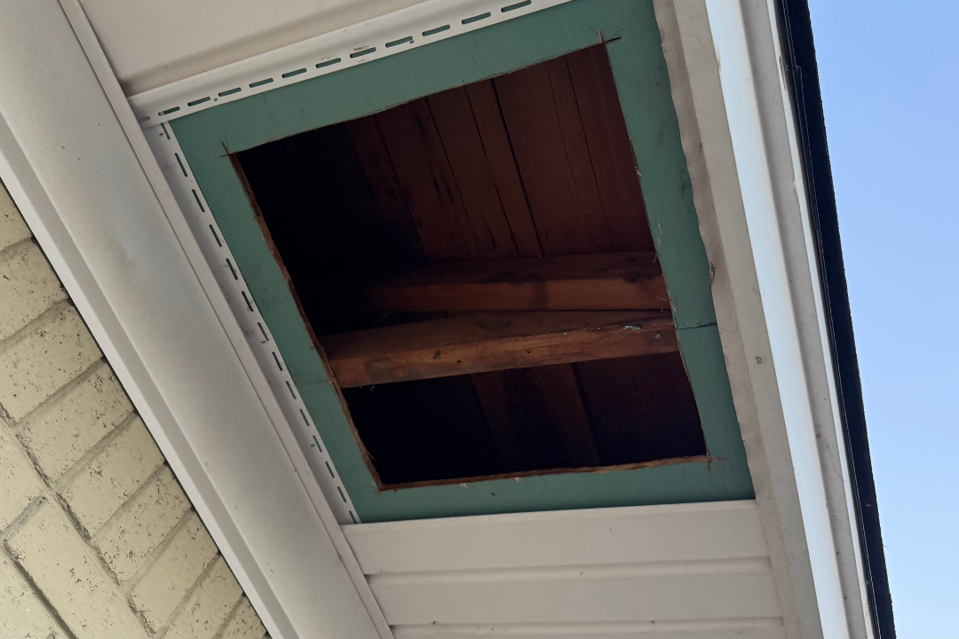 Large open soffit hole — green painted wood exposed, rafters visible, open into attic, new vinyl soffit being installed on sides
