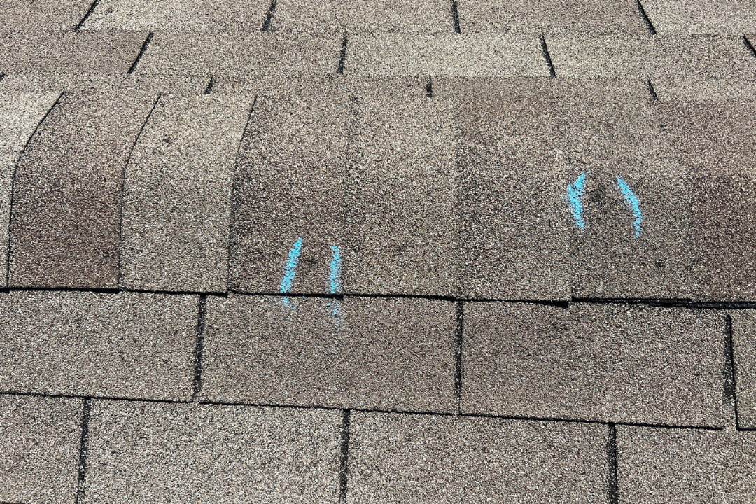 Two hail hits marked with blue chalk on brown shingles — granule displacement clearly visible inside each circle, no shadow