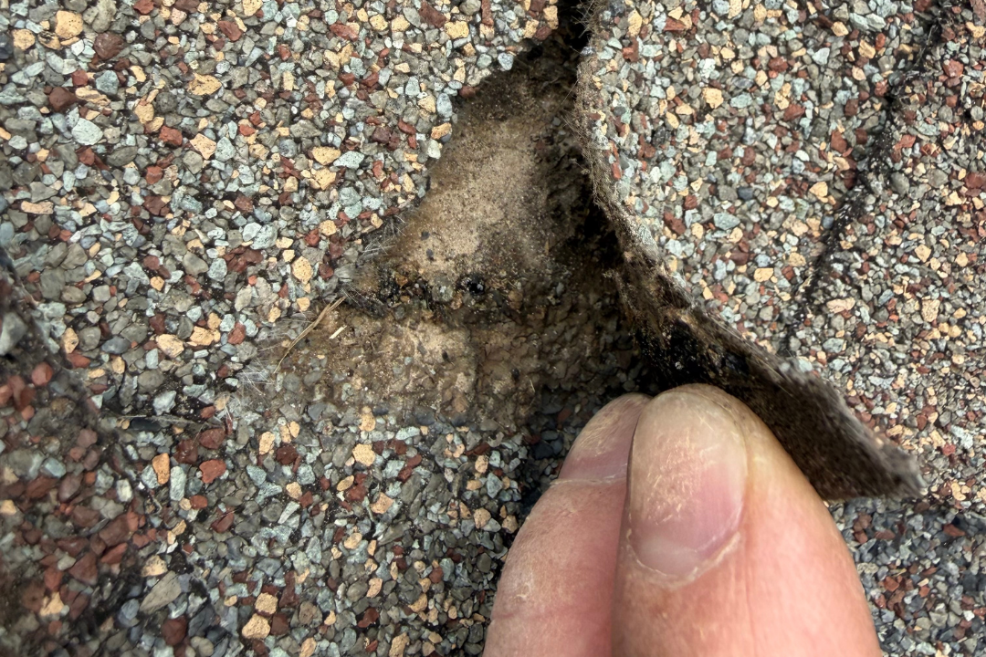 Finger pointing into cracked brittle shingle — mat dried out and crumbling, granules displaced, shingle splitting apart from age failure