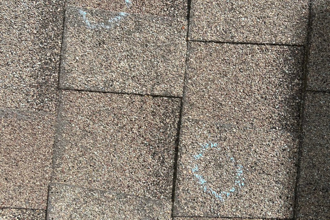 Hail hits marked with blue chalk — granule displacement and bruising on multiple shingles, real inspection documentation
