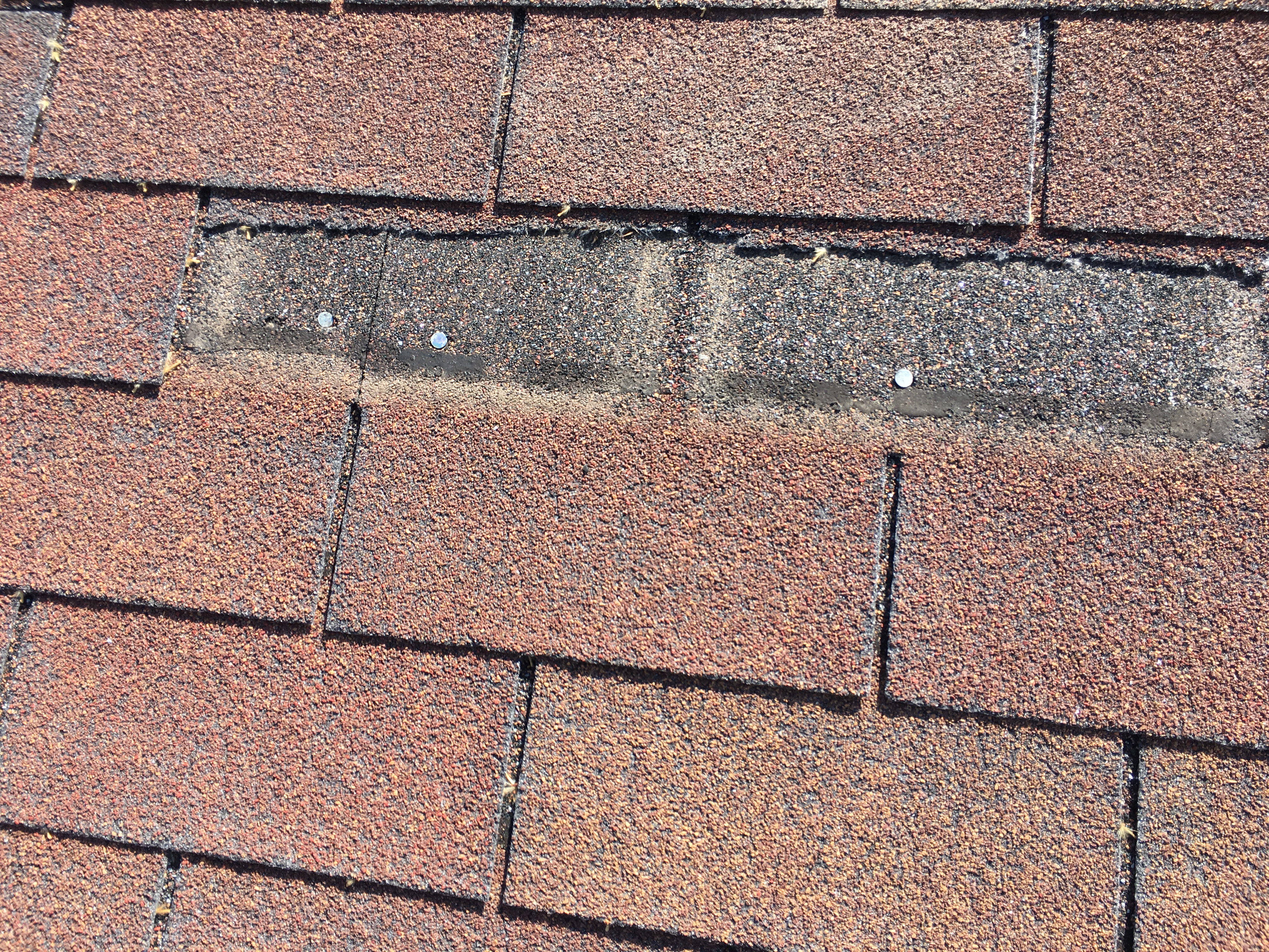 Shingle tab blown back exposing nailing strip — 3 nail heads visible, granule loss around nail zone, seal strip failed