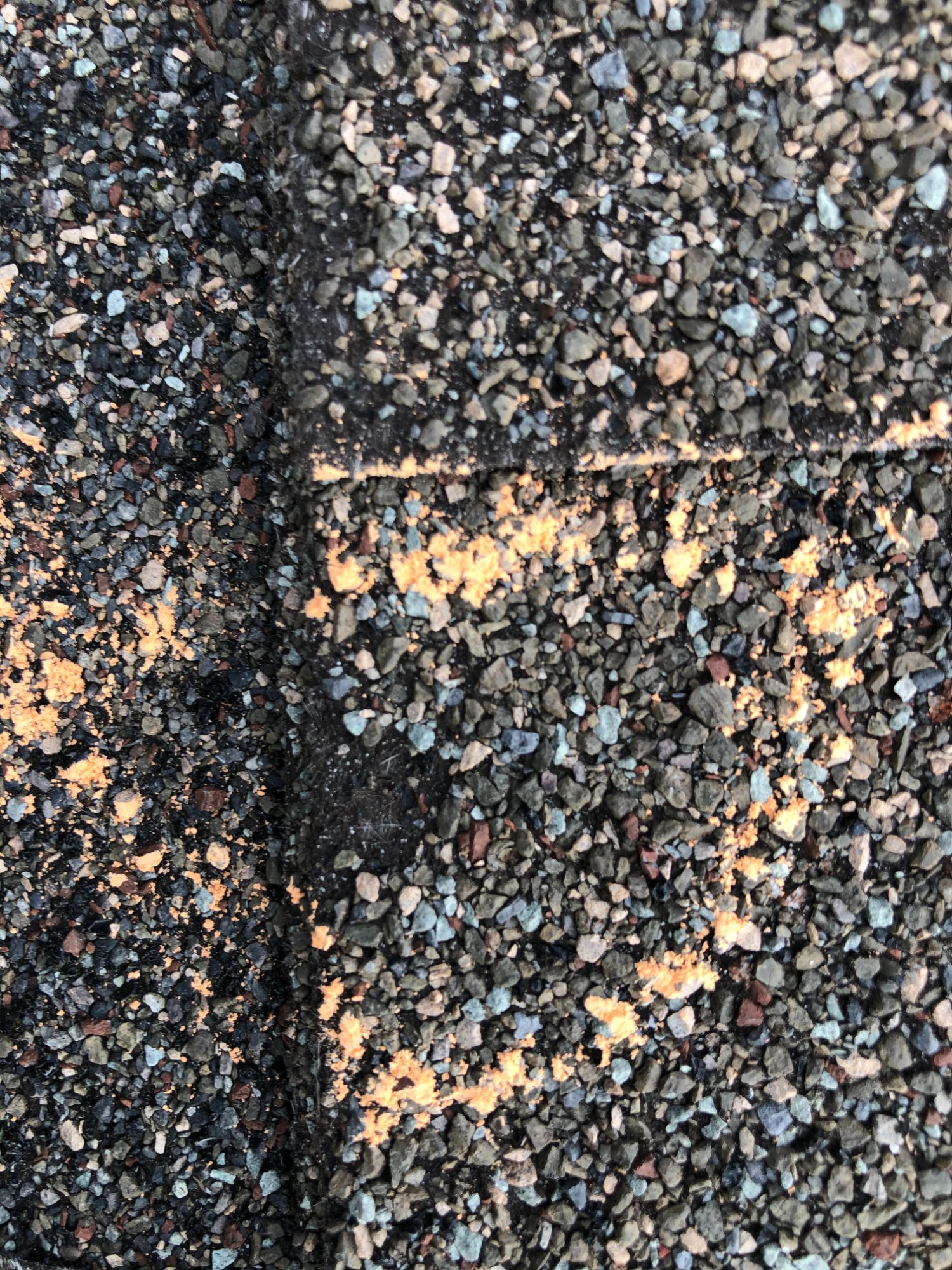 Orange chalk adjuster markings on dark shingles — close up hail hit marks