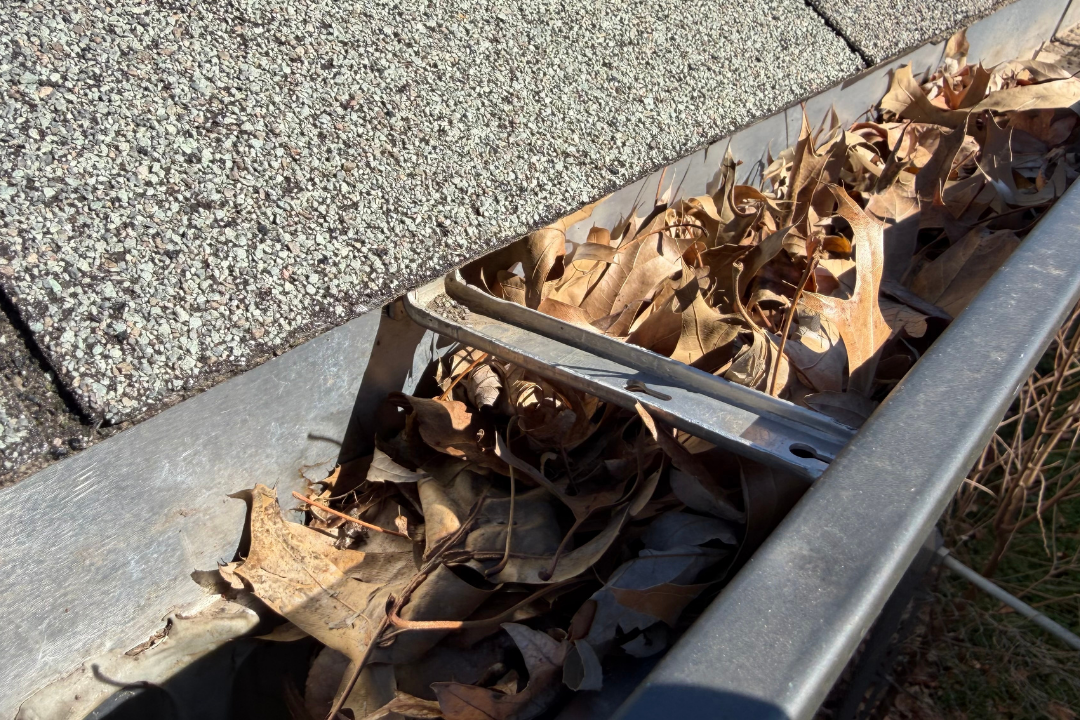 Gutter packed full of leaves looking down the length — gutter pulling from fascia slightly