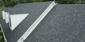 Roofing Question