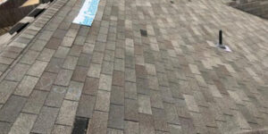 Asphalt shingle roofing expert