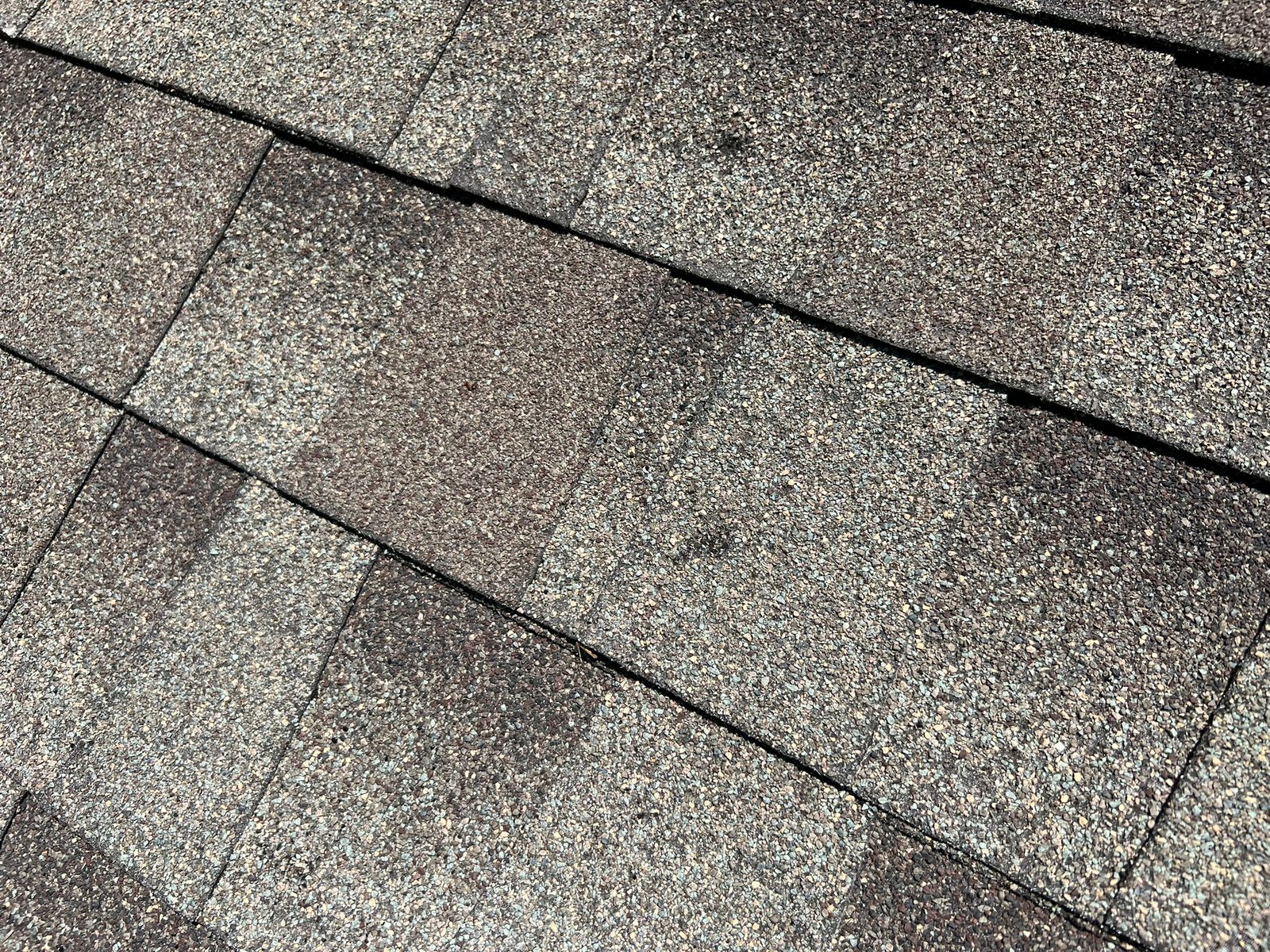 Worn shingles with granule loss visible across multiple tabs