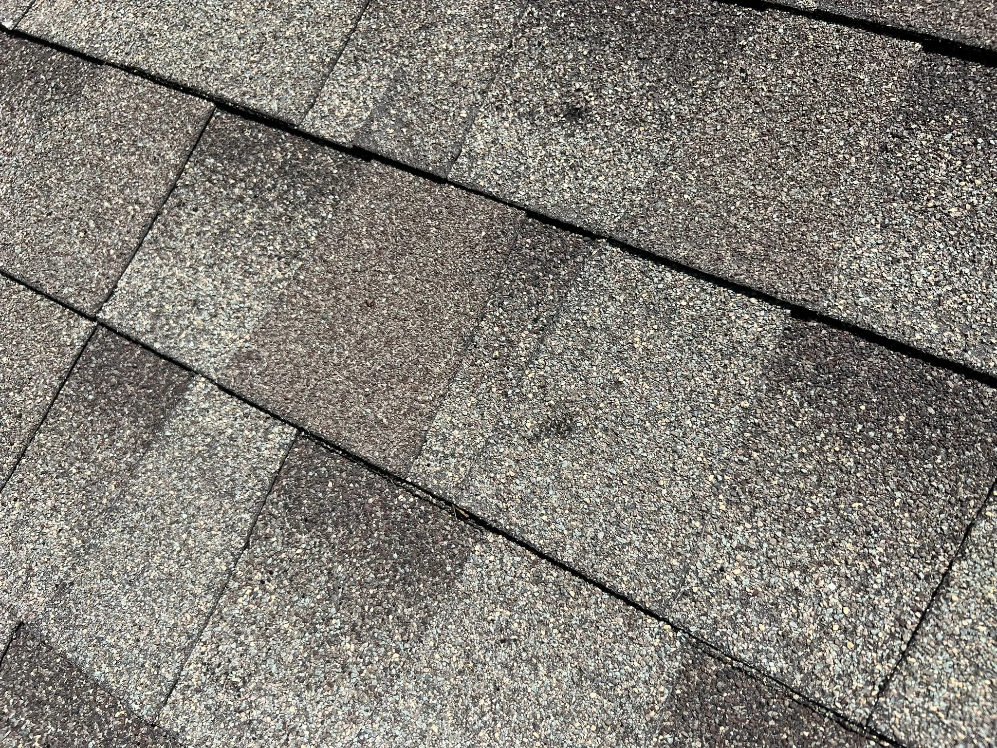 Worn shingles with granule loss visible across multiple tabs