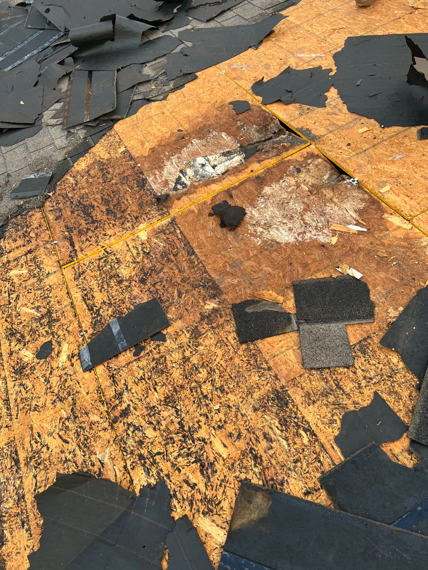 Water-damaged decking exposed during tear-off — shows what delayed claims look like underneath