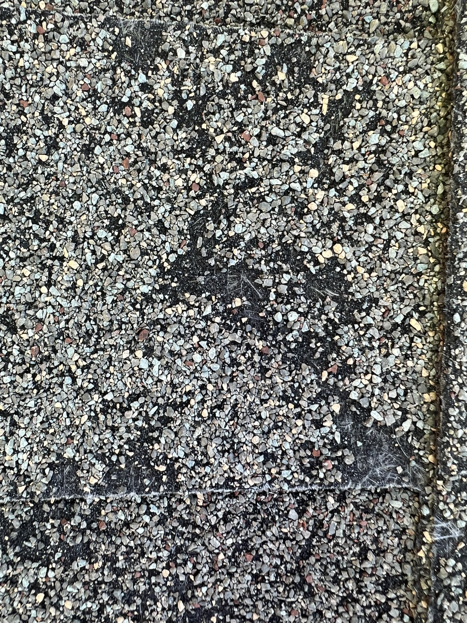 Extreme granule loss on shingle surface with black asphalt fully exposed
